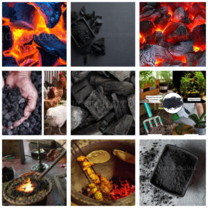 Charcoal Dealers In Lakshadweep